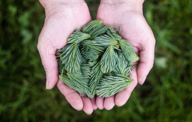 Simple Super purchased by Ascend Accounting 